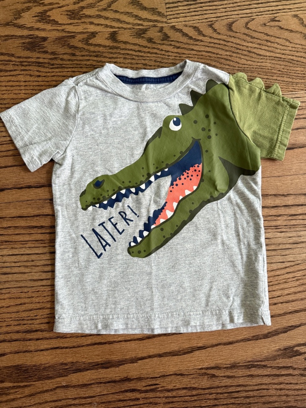 Boys Grey Tee with Green Crocodile Graphic - Unbranded